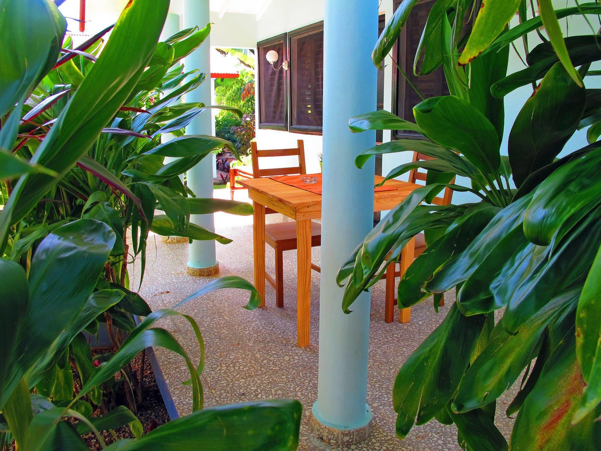 Bungalows Of Las Galeras Exterior foto